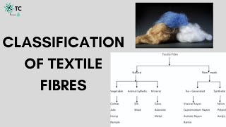 Classification of Textile Fibres Explained [upl. by Petrine374]