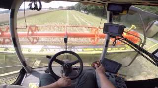 GoPro Claas Lexion 760 im Raps  Cabins View HD [upl. by Edbert560]