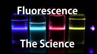 How Fluorescence Works  The Science [upl. by Kurman]