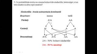 PROBLEME GENETICA CLASA A VIII A programa noua [upl. by Namreh]