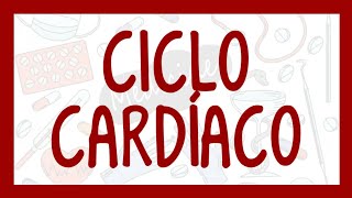 CICLO CARDÍACO  ¡Fácil explicación Fisiología [upl. by Einaffit]