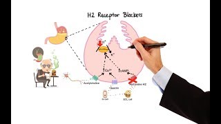 Pharmacology  ANTIHISTAMINES MADE EASY [upl. by Dunc]