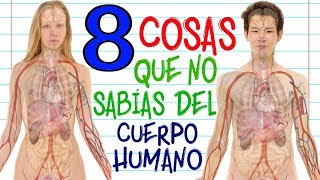 8 cosas que NO SABÍAS del Cuerpo Humano TOP  RANK [upl. by Argela922]