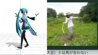 Hatsune Miku Ievan Polkka Dance Comparison [upl. by Cordula]