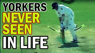 Shoaib Akhtar Bowling Killer Yorker to Famous players  Best Yorkers in Cricket History [upl. by Kroo805]