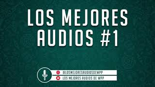 LOS MEJORES AUDIOS DE WHATSAPP  COMPILADO 1 [upl. by Moynahan]