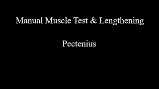 Manual Muscle Test amp Lengthening  Pectineus [upl. by Enert242]