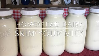 How to Skim the Cream Off Your Milk [upl. by Htirehc638]