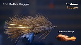 the BETTER Wooly Bugger  UNDERWATER FOOTAGE  McFly Angler Streamer Fly Tying Tutorials [upl. by Keithley]