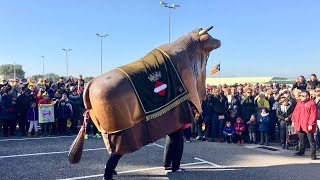 El Bou Tradicional La Mulassa de Valls i els Gegants de la Riba [upl. by Freud260]