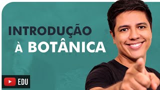 INTRODUÇÃO À BOTÂNICA  Briófitas Pteridófitas Gimnospermas e Angiospermas  Prof Kennedy Ramos [upl. by Sigfrid]