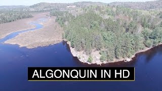 Algonquin Provincial Park in HD [upl. by Norahc68]