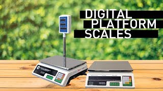 Digital Platform Scales  Getting Started With the Scale  Commercial Bargains Inc [upl. by Schifra]