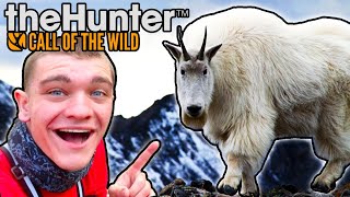 MOUNTAIN GOATS ARE TOO EASY Hunter Call of the Wild Ep27  Kendall Gray [upl. by Kcinimod]