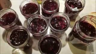 Concord grape jelly Watch the whole process [upl. by Thunell802]