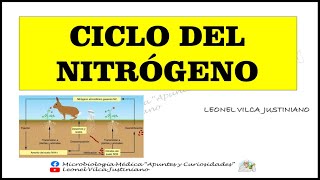 CICLOS BIOGEOQUÍMICOS  CICLO DEL NITRÓGENO [upl. by Lehcsreh]