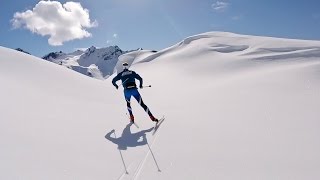 Backcountry XC Skiing  Alaska [upl. by Enirolf]