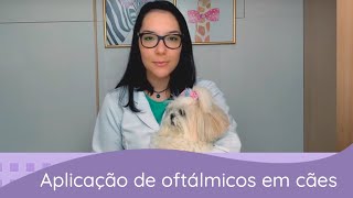 Medicamentos oftálmicos como aplicar no seu cachorro [upl. by Sanders]