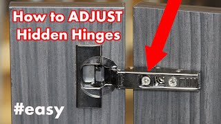 How to Adjust Kitchen Cabinet Hinges  DIY [upl. by Nnovahs]