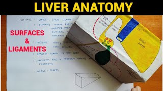 Liver Anatomy 14  Surfaces amp Ligaments of Liver  EOMS [upl. by Hamrnand]