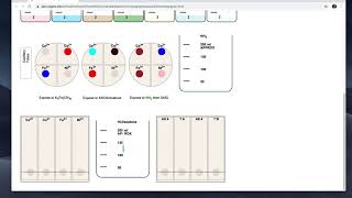 Lab 3 Paper Chromatography Virtual Experiment [upl. by Sined]