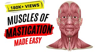 Advanced Botox Injection Techniques for Dentists  Part 3 Masseter Hypertrophy [upl. by Tnelc521]