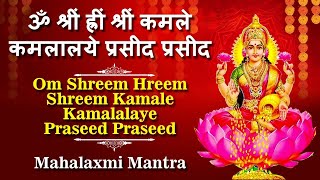 Om Shreem Hreem Shreem Kamle Kamalalaye Praseed Praseed  Mahalaxmi Mantra  Laxmi Mantra Jaap [upl. by Airotnes]