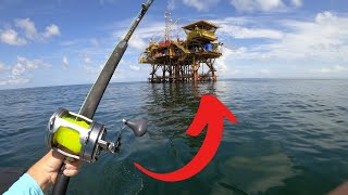 DEEP SEA CATCH AND COOK GIANT OIL RIG FISHING [upl. by Wallis]