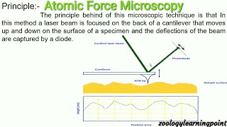 AFMAtomic Force Microscopy [upl. by Oirifrop]