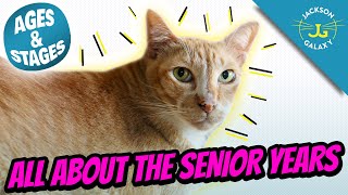 The Senior Cat Years  Cat Ages and Stages [upl. by Homovec]