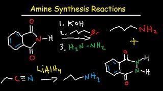 Amine Synthesis Reactions Organic Chemistry  Summary amp Practice Problems [upl. by Assille195]