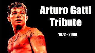 Arturo Gatti Highlights amp Knockouts  The Thunder Tribute [upl. by Aicnetroh274]