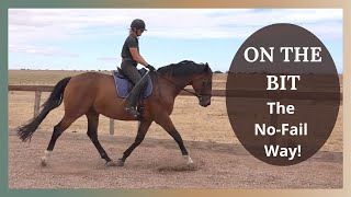 Dressage Training  Getting Your Horse Forward And On The Bit [upl. by Eetsim]