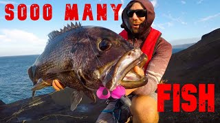 Most INSANE day of Fishing Ep33 [upl. by Hocker]