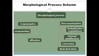 Morphological Processes Definitions and Examples [upl. by Acirea358]