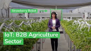 IoT Powering the Digital Economy  The B2B Agriculture Sector  Schneider Electric [upl. by Ecyak]