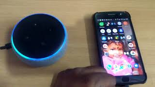 Alexa Echo as Bluetooth speaker [upl. by Annaiel891]