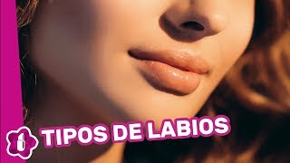 Tipos de labios conoce la forma de tu sonrisa [upl. by Lletnwahs]