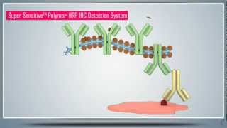 Immunohistochemistry IHC amp AntigenEpitope Protein Retrieval  Principle Technique and Protocol [upl. by Ymar534]