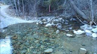 Whipsaw Creek Placer Gold Claim [upl. by Hadley]