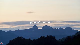 Al Stewart  Year of the Cat Lyrics [upl. by Sirah357]