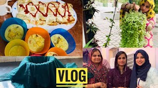 VLOGSnack RecipesWeddingHanging PlantsTastetours by Shabna Hasker [upl. by Beeson423]