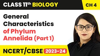 General Characteristics of Phylum Annelida Part 1  Class 11 Biology Chapter 4  NCERTCBSE [upl. by Sorodoeht]