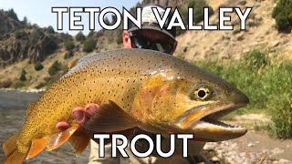 Teton Valley Trout  Ultimate Idaho Fly Fishing [upl. by Hidie722]