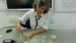 Catalase vs hydrogen peroxide experiment [upl. by Clarissa]