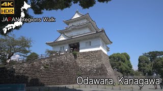 Odawara  Odawara Castle  4K HDR  小田原駅〜小田原城 [upl. by Arfihs714]