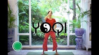 Qigong for Beginners [upl. by Reema]