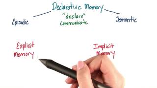 Explicit or declarative memory  Intro to Psychology [upl. by Eseerahs]