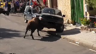 Encierro Peñalver 2016¡Espectacular salida [upl. by Faubert]