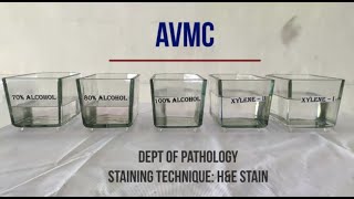 Hematoxylin amp Eosin Staining Procedure Principle with Video Lecture [upl. by Phelan]